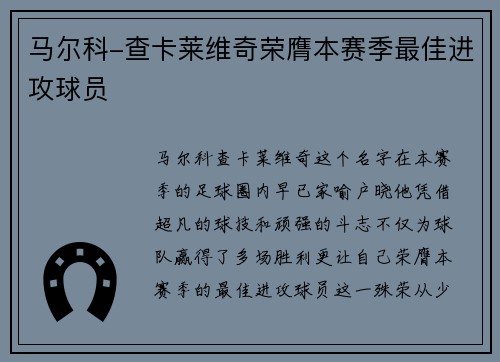 马尔科-查卡莱维奇荣膺本赛季最佳进攻球员